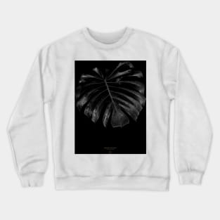 Monstera Crewneck Sweatshirt